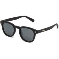Havana Polarized In Black Sunglasses