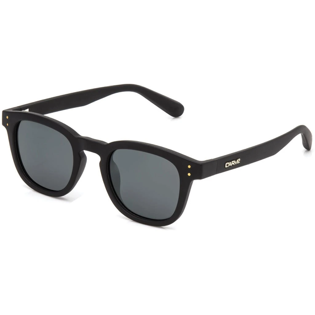 Havana Polarized In Black Sunglasses 3 Havana Polarized In Black Sunglasses