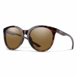 Smith Bayside In Brown Sunglasses