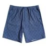Quiksilver Elastic Checker 18" Amphibian In Sargasso Sea Shorts -Tide And Style HS1617654381