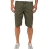 Vans Av Covina Shorts II (grape Leaf)