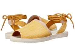 Reef Daisy (sunflower)